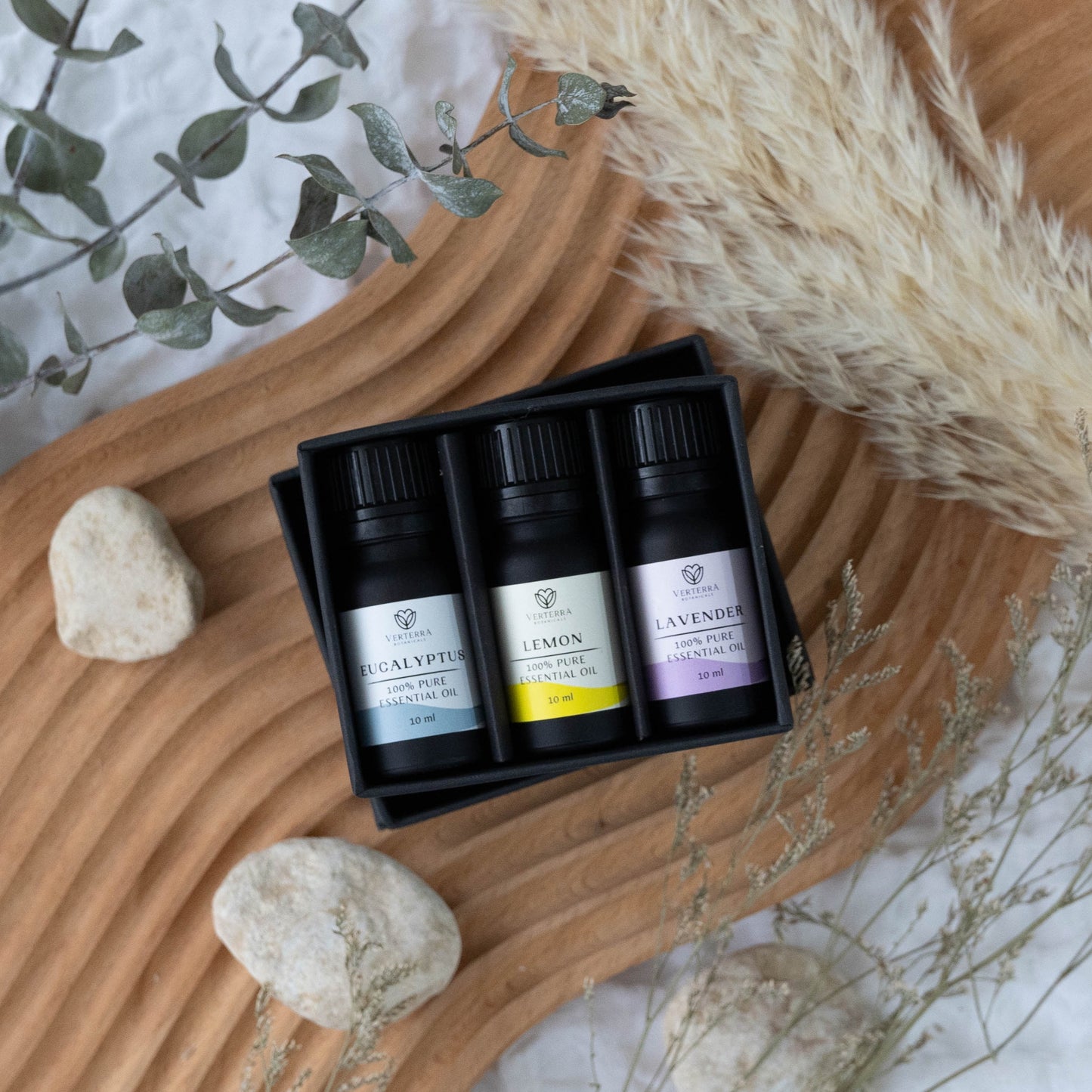 Mini Starter Essential Oil Set